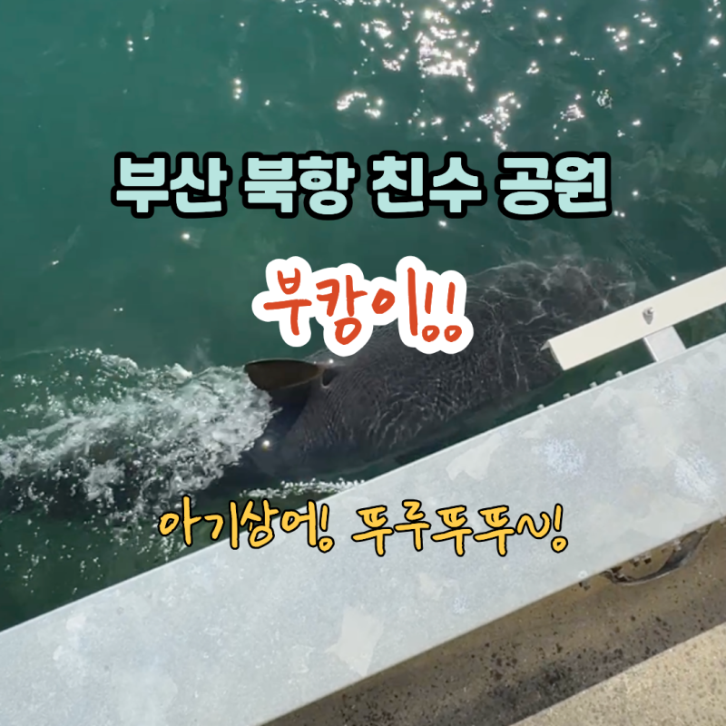 부캉이 보러 부산 북항 친수공원 다녀왔어요 | 부산역 9번출구에서 걸어서 가는 길