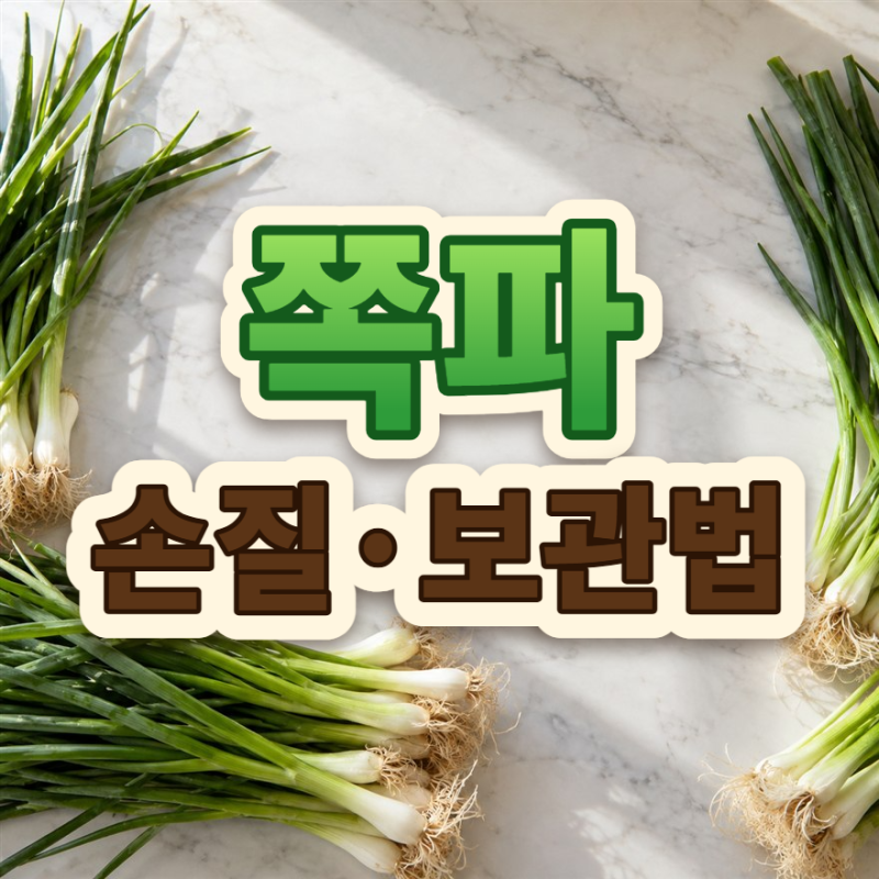 쪽파 손질법과 보관법, 김장철 쪽파 한 단 끝까지 쓰는 요령
