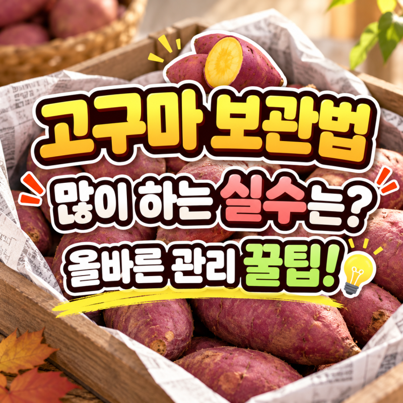 고구마 보관법, 무심코 하는 보관 실수와 올바른 관리법