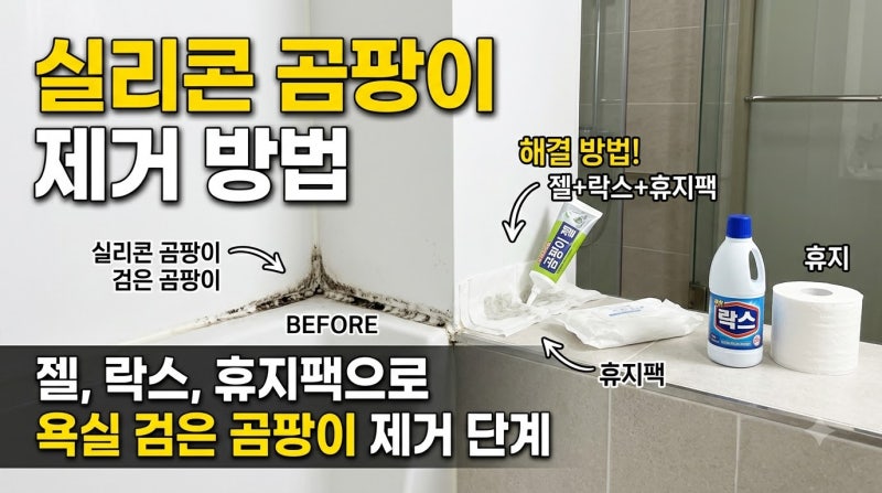 실리콘 곰팡이 제거 방법, 젤·락스 휴지 팩으로 욕실 검은 곰팡이 지우는 순서