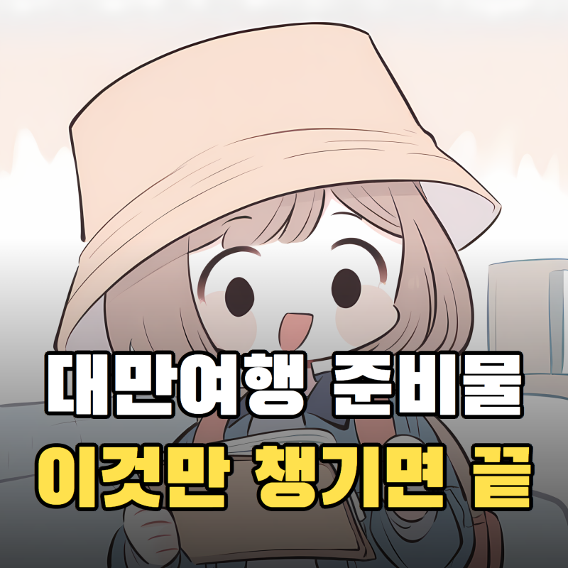 대만여행 준비물 체크리스트, 돼지코부터 입국신고서까지