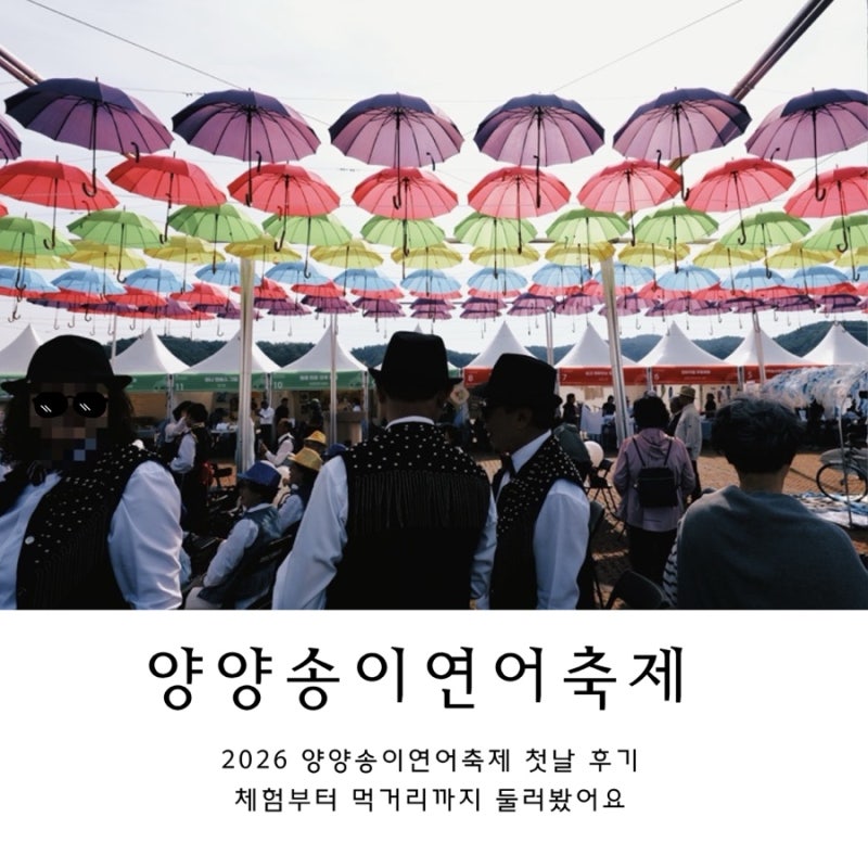 2026 양양송이연어축제 첫날 후기｜체험부터 먹거리까지 둘러봤어요