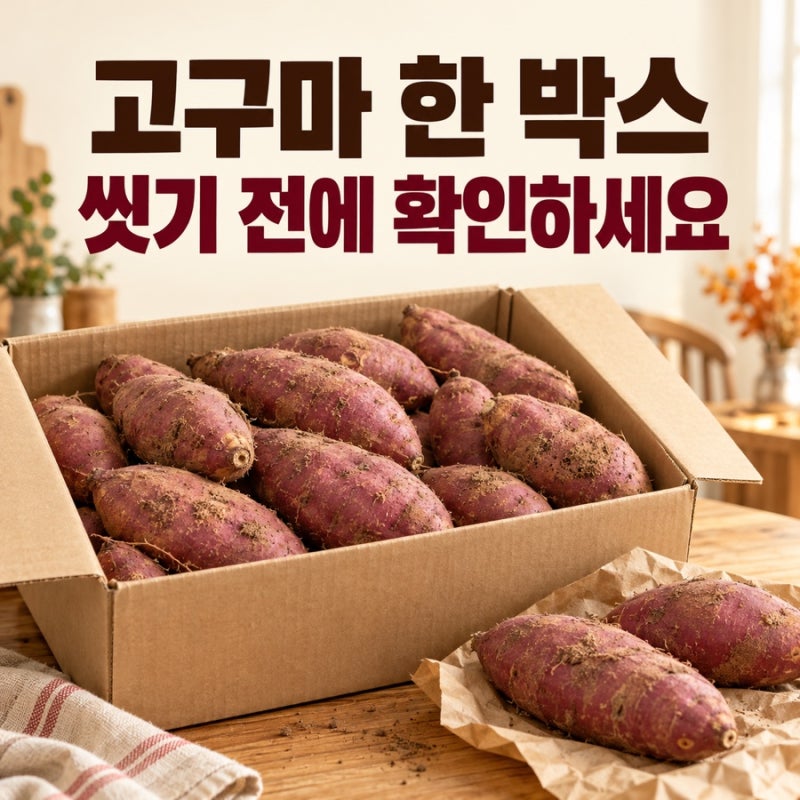 고구마, 씻어서 보관해도 될까? 한 박스 샀을 때 먼저 할 일