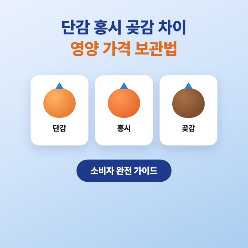 단감 홍시 곶감 차이, 종류별 영양성분 칼로리 보관법 정리
