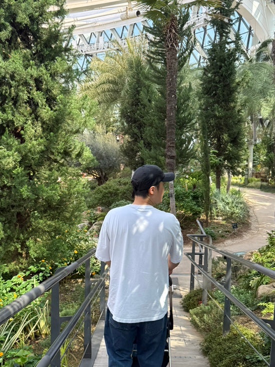 4개월 아기와 서울식물원 온실 나들이