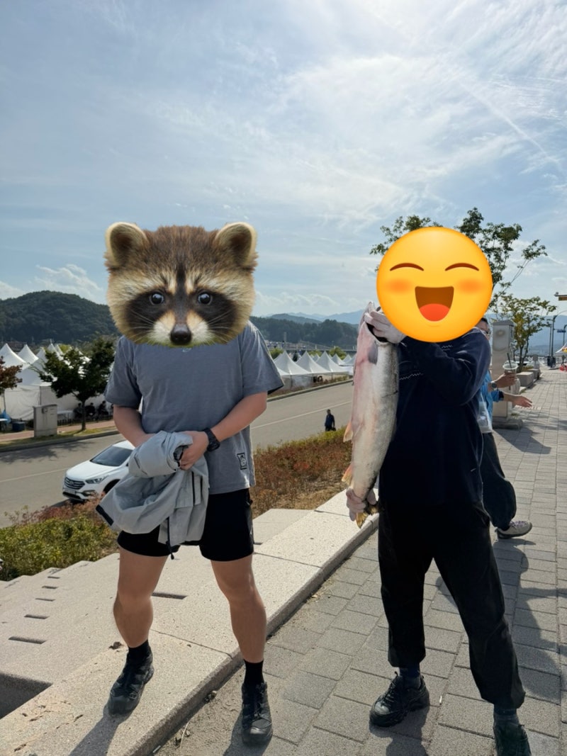 2026 양양 송이연어축제 후기｜주차·먹거리·체험·송이 가격