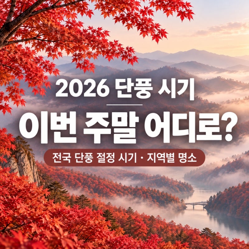 2026 단풍 시기 총정리 이번 주말 단풍놀이 어디로 갈까? 전국 단풍 절정 예상일