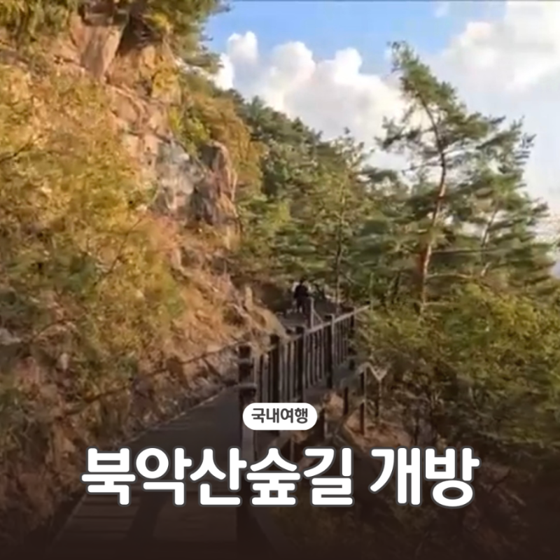 서울 가볼만한곳 북악산숲길 개방, 58년 만에 10월 17일 개방 열린 청와대 뒤 탐방로 북악산 남....
