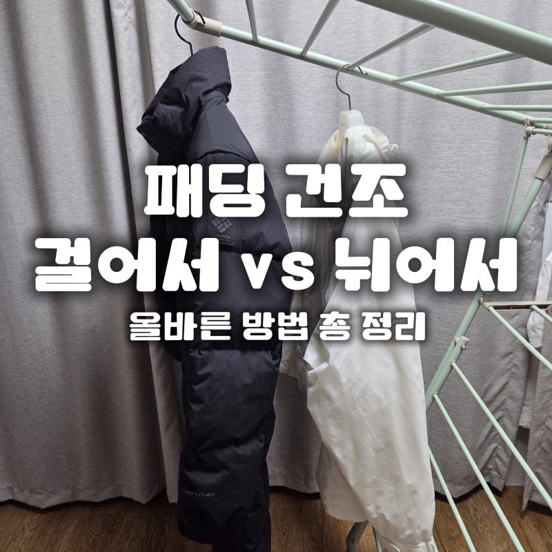 세탁 후 롱패딩 건조법: 뉘어서 말리면 안 되는 이유와 비스포크 에어드레서 패딩 코스 활용 ....