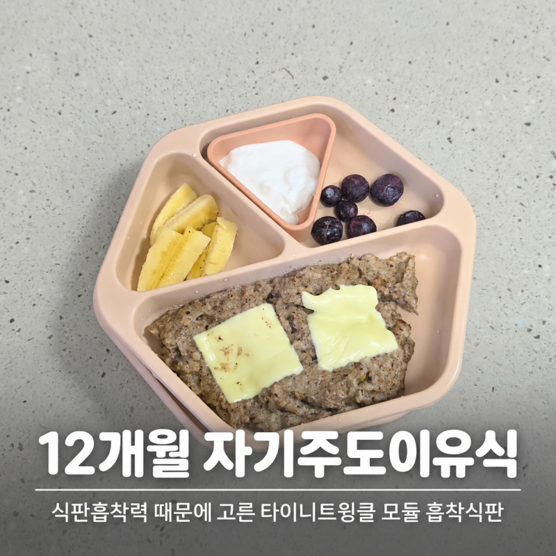 12개월 자기주도이유식ㅣ식판흡착력 때문에 고른 타이니트윙클 모듈 흡착식판