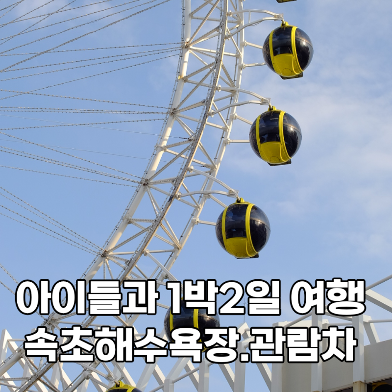 아이들과 속초 가볼만한곳｜속초아이 대관람차 요금.예약. 탑승 후기