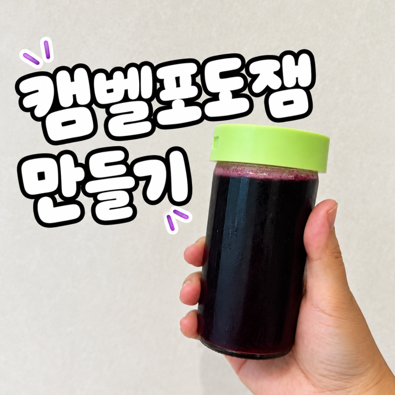 포도잼 만드는 법 캠벨포도 수제잼 만들기 설탕 비율과 씨 제거 방법