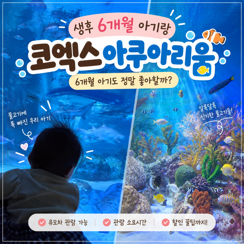 씨라이프 코엑스 아쿠아리움 6개월 아기랑｜유모차, 입장료 할인, 수유실, 기저귀 갈이대, 관....