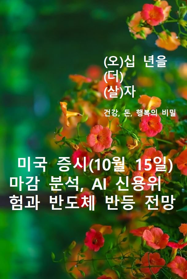 미국 증시(10월 15일) 마감 분석, AI 신용위험과 반도체 반등 전망