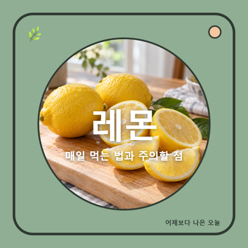 레몬 효능, 매일 먹으면 좋은 이유와 건강하게 먹는 법