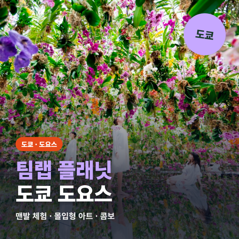 도쿄 팀랩 플래닛 티켓 예약, 입장권·프리미엄 패스 가격