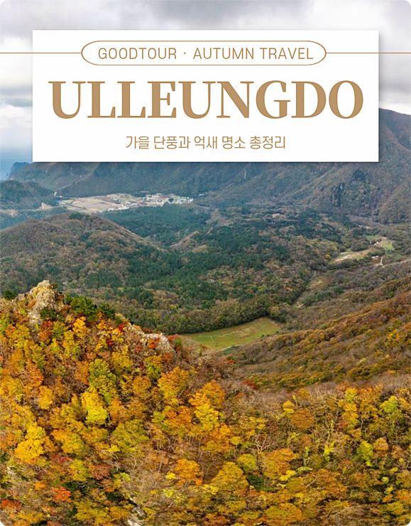 울릉도 가볼만한곳 추천, 나리분지 억새부터 성인봉 단풍까지 가을 여행 코스