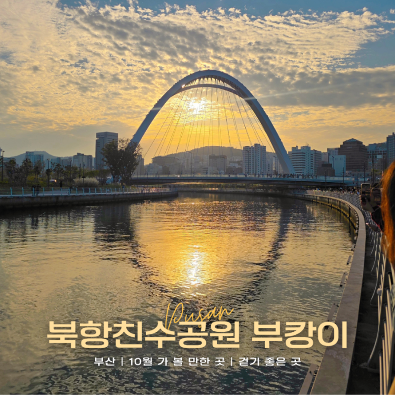 [부산 산책] 북항친수공원(부캉이, 주차장, 차이나타운축제, 바이킹 비어밤, 북항런페스타 취....