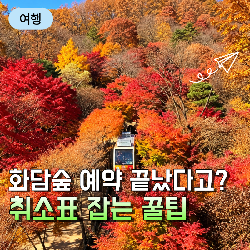 2026 화담숲 단풍 예약 취소표 꿀팁 모노레일 없이 걷기 곤지암리조트 숙박 할인