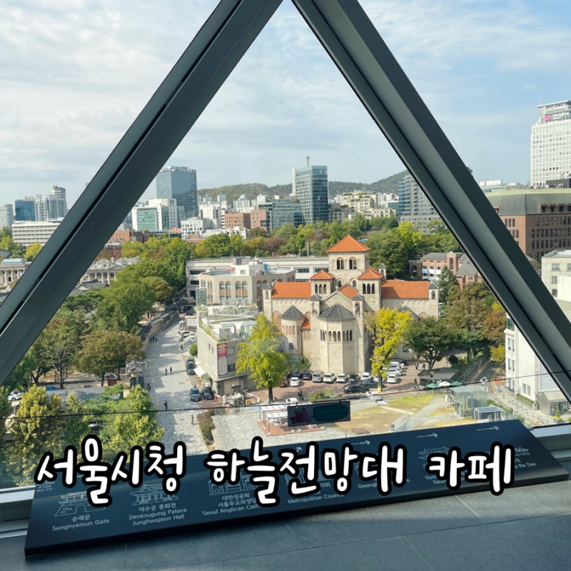 서울시청 하늘전망대 전용 엘리베이터 위치부터 9층 카페 & 덕수궁 뷰 명당까지 총정리