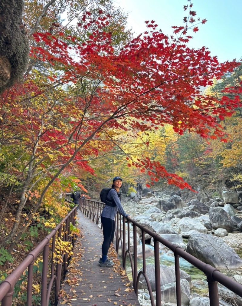 설악산 백담사-봉정암 23km, 기막힌 단풍