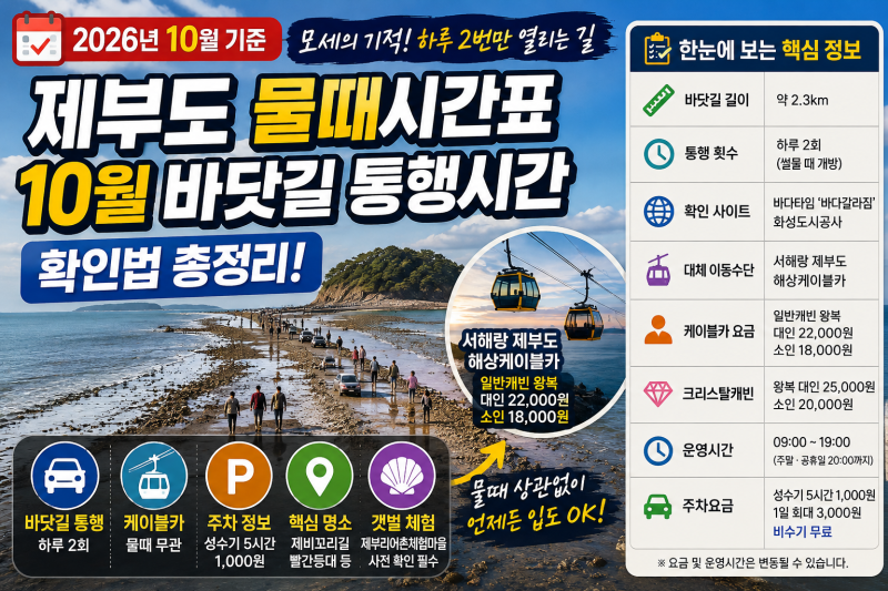 제부도물때시간표 10월 바닷길 통행시간 확인법 총정리 (2026년 기준)