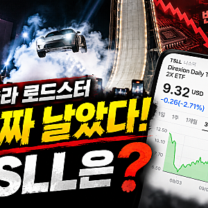 반도체 급락 속 테슬라가 미국 증시를 구할까? TSLL 주주가 3개월 차트를 다시 본 이유