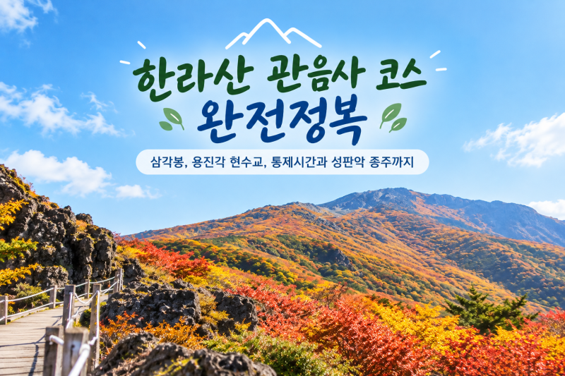 한라산 관음사 코스 완전정복 - 삼각봉, 용진각 현수교, 통제시간과 성판악 종주까지