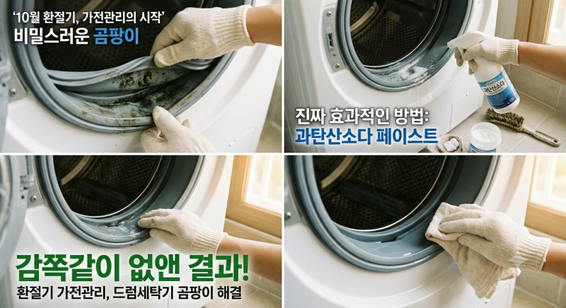 10월 환절기 가전관리 드럼세탁기 고무패킹 곰팡이 감쪽같이 없앤 진짜 방법