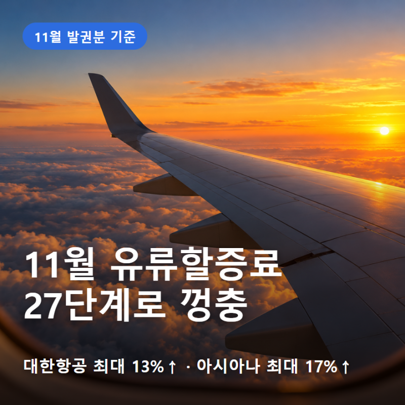 11월 유류할증료 대한항공 아시아나 국제선 27단계 미국 동부 왕복 9만원 인상 10월 발권 총정....