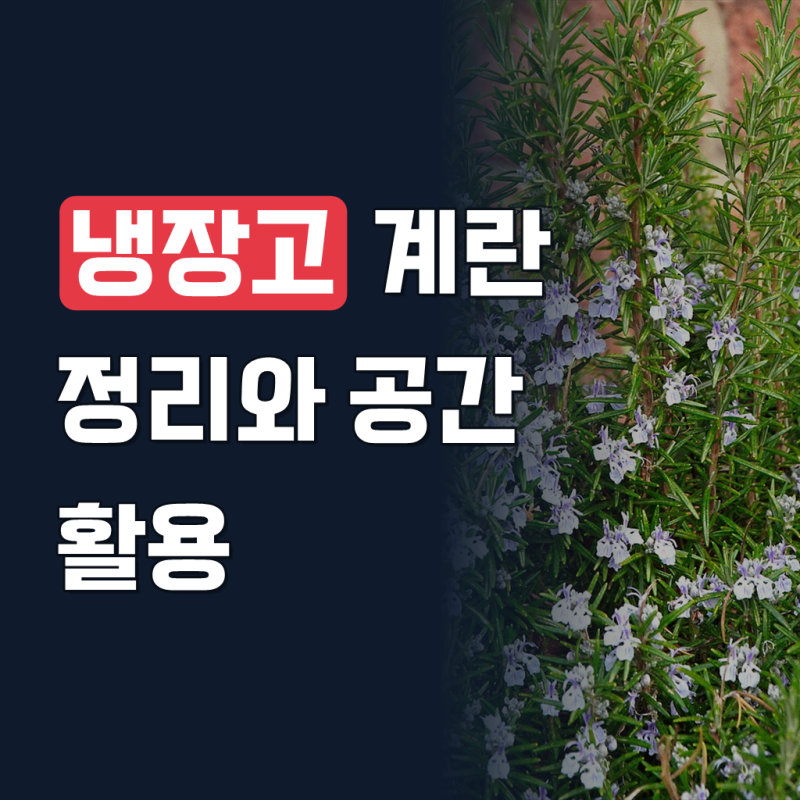 살림공간 2단 계란보관함 32구 슬라이딩 에그트레이 케이스 계란통