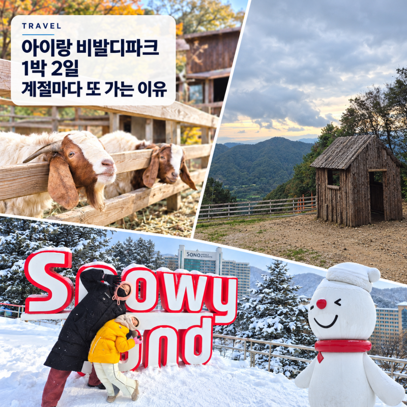 아이랑 비발디파크 1박 2일, 10월·1월·2월마다 또 가는 이유