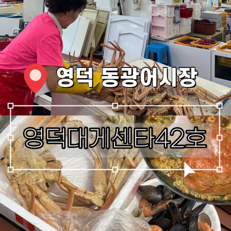영덕 동광어시장 대게 내돈내산