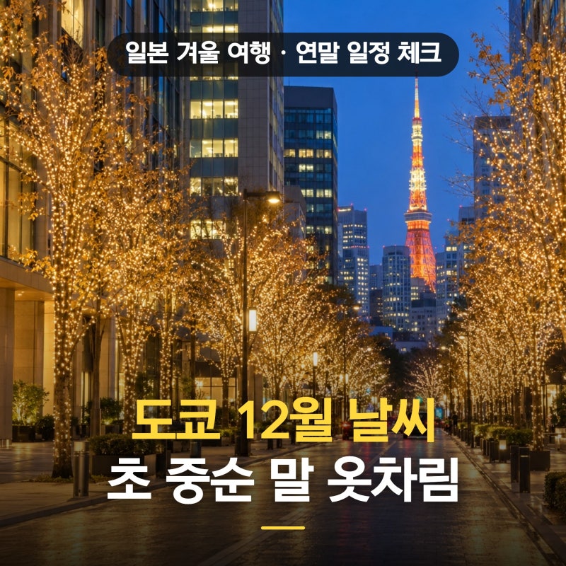 일본 도쿄 12월 날씨 초 중순 말 옷차림 코디 + 도쿄 겨울 여행 연말 일정 체크