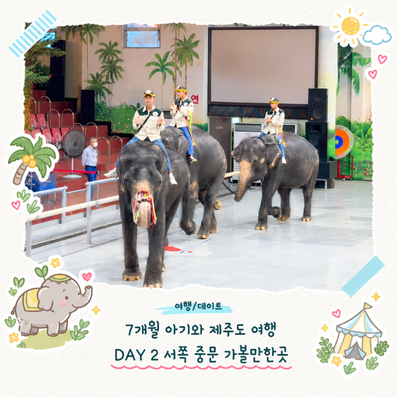 7개월 아기와 제주도 4박5일 여행 | Day2 서쪽 중문 가볼만한 곳