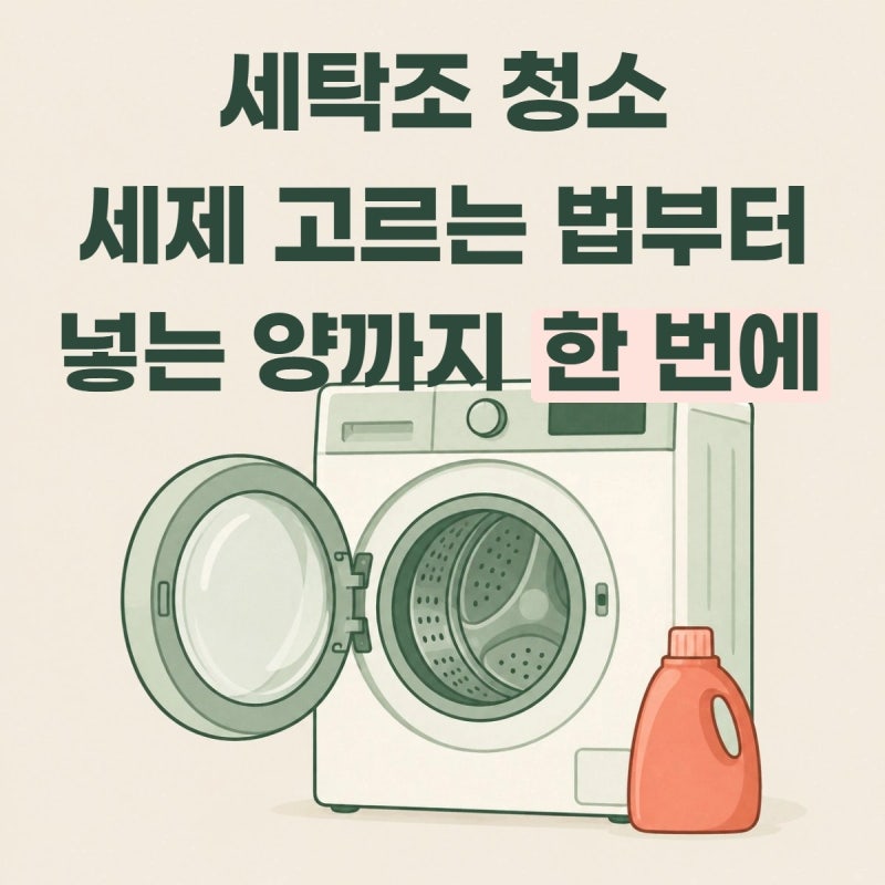세탁조 청소 세제 고르는 법부터 통돌이·드럼 넣는 양까지 이 글 하나로 끝 (+응급처치 순서)