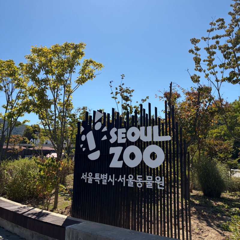 서울대공원 동물원 입장료 리프트 패키지 2인 28,000원 후기