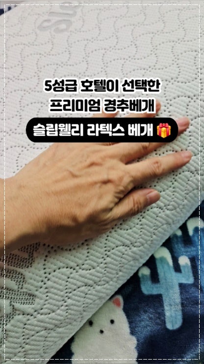 아이유베개 깊은잠 숙면베개 사용 후 남편 슬립웰리 스탠다드와 비교한 후기