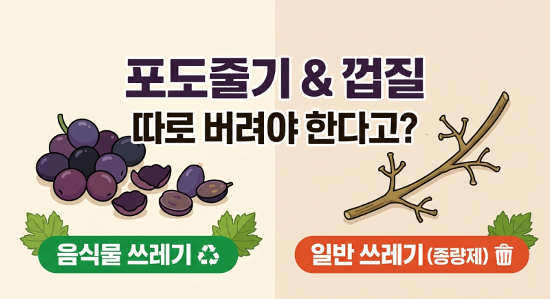 포도껍질은 음식물, 줄기는 일반쓰레기? 헷갈리는 과일 부산물 구분법