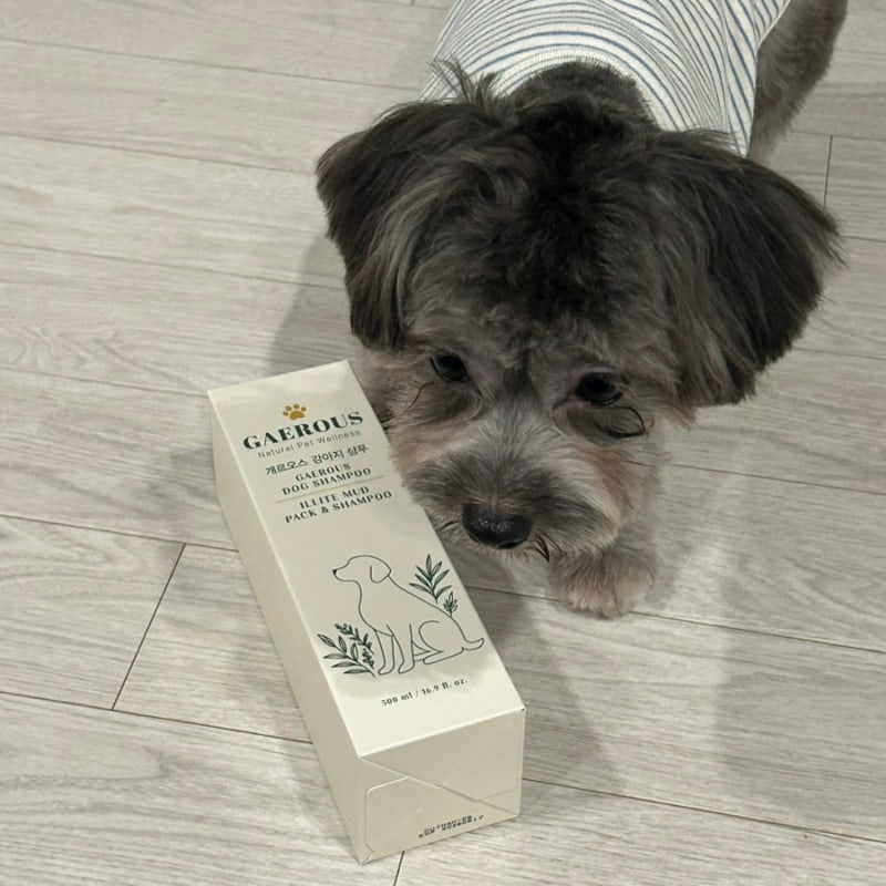 강아지 아토피 약용샴푸 추천 냄새제거에도 탁월한데 안심할 수 있는 성분까지! 개르오스 강....