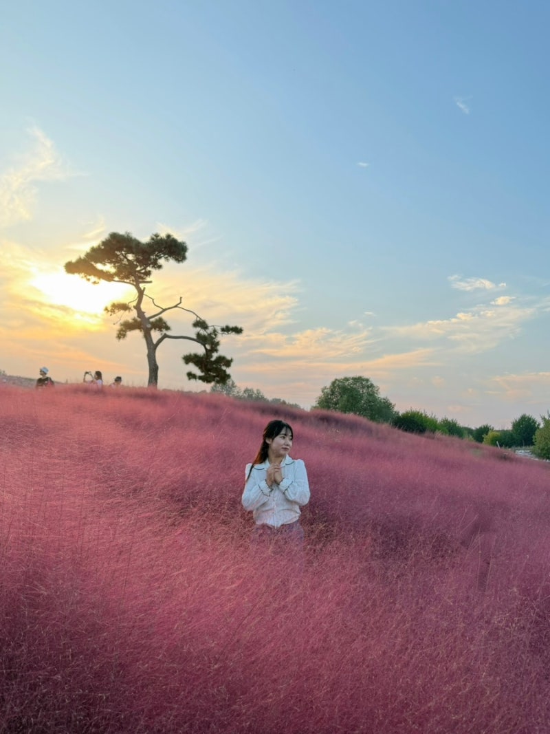 경기도 근교 가볼만한곳 추천｜가성비로 즐길수 있는 가을맞이 안성팜랜드 리얼후기(with 입....