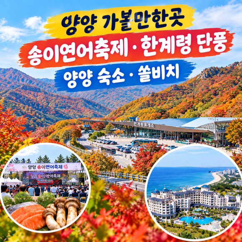 양양 가볼만한곳 송이연어축제 양양숙소 쏠비치양양호텔 한계령 휴게소 단풍