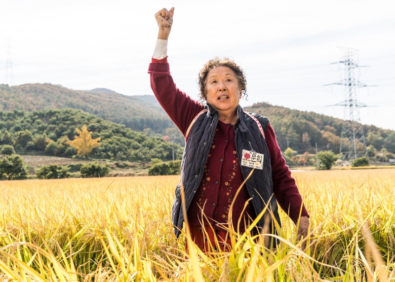 영화 오! 문희, 나문희 이희준, 농촌수사코미디, 등장인물 줄거리 관객수 평점