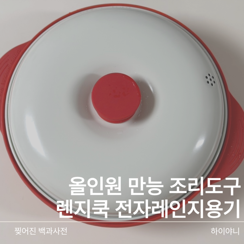 렌지쿡 전자레인지용기 하나로 밥부터 찜까지 올인원