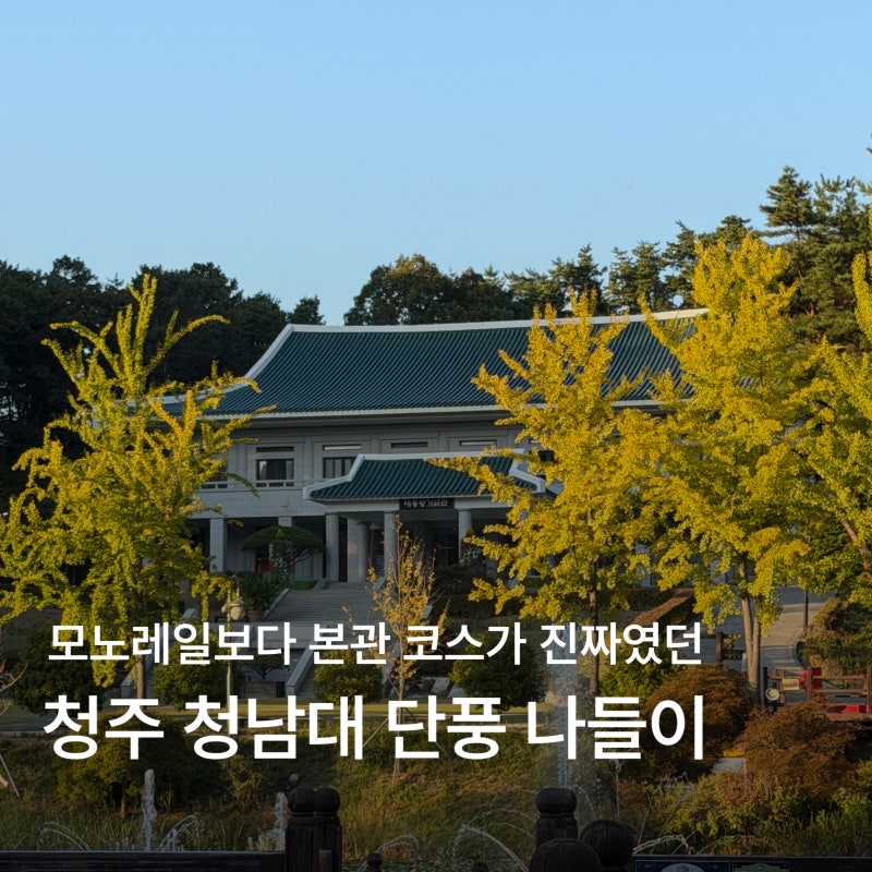 청주 가을 나들이 청남대ㅣ아이와 부모님 모시고 간 모노레일 후기, 단풍 시기