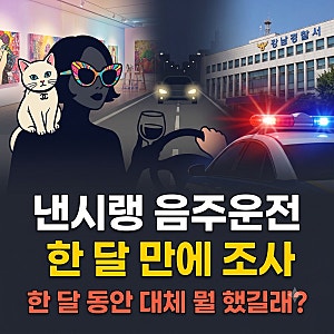 낸시랭, 음주운전 적발 한 달 만에 경찰 조사 면허 취소 수준에 "샴페인 2~3잔" 해명