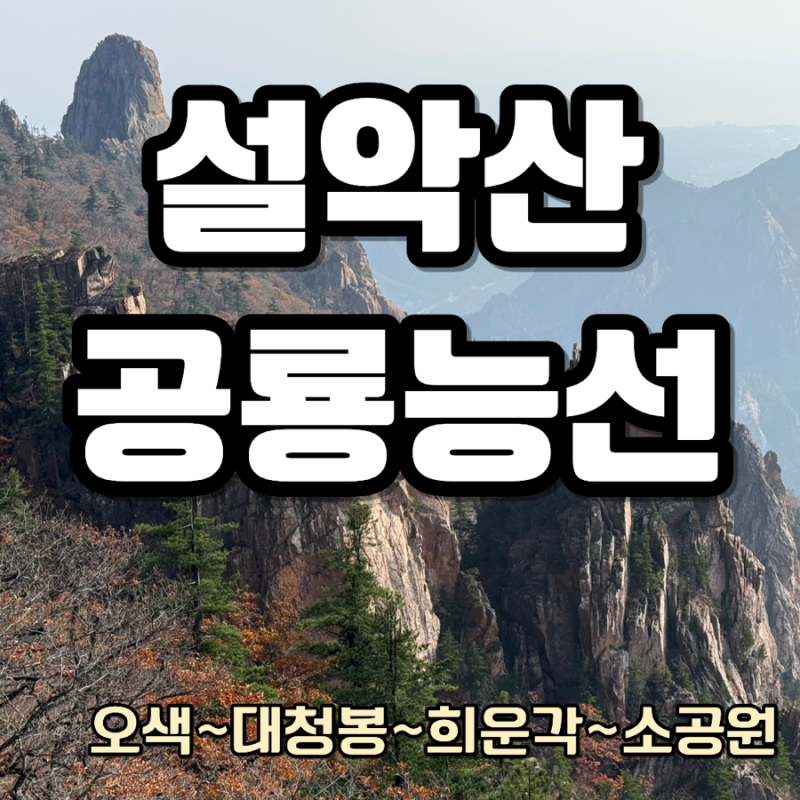설악산 공룡능선 코스 9시간 안에 다녀온 후기(오색~대청봉~소공원) 난이도 소요시간 정리