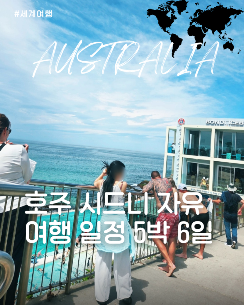 호주 시드니 자유 여행 일정 5박 6일 공항 픽업부터 가볼만한 곳 추천 총 정리 타미스 빅패스 ....