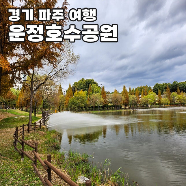 서울 근교 가을 나들이 파주 운정호수공원 2026 불꽃축제 및 국화 코스모스 백일홍 꽃구경