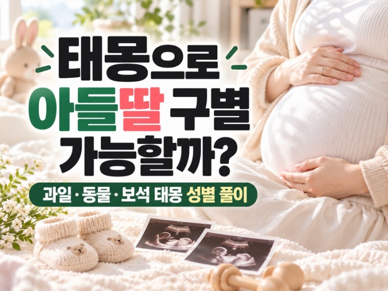 태몽으로 아들딸 구별 가능할까? 과일·동물·보석 꿈 성별 풀이 총정리